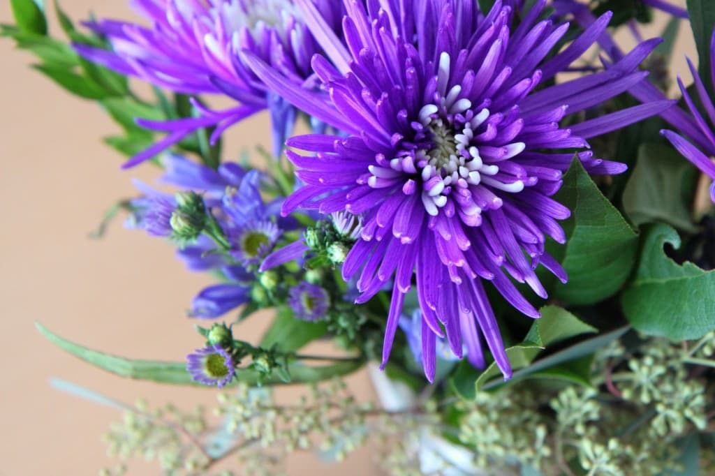 flowers