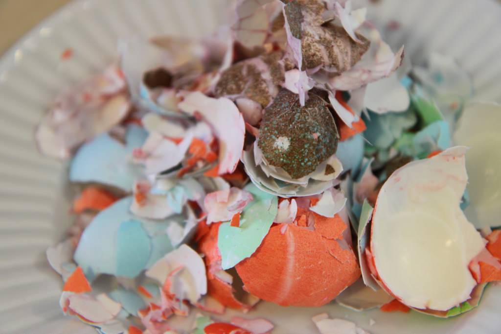 Egg Shells