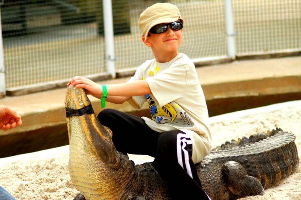 GatorLand 2