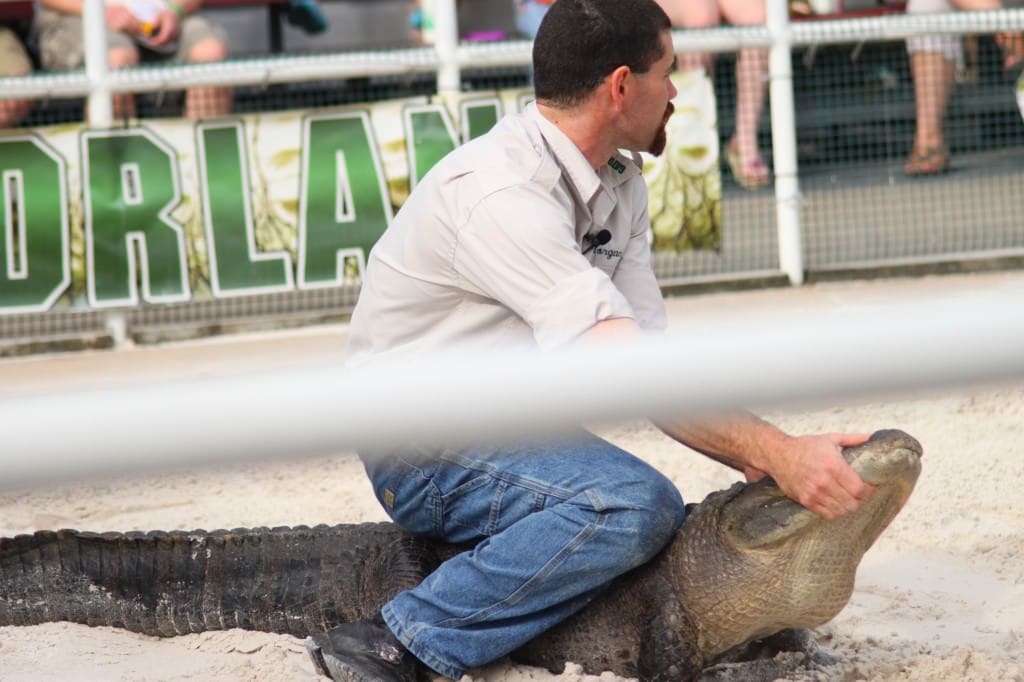 GatorLand Attractions 7