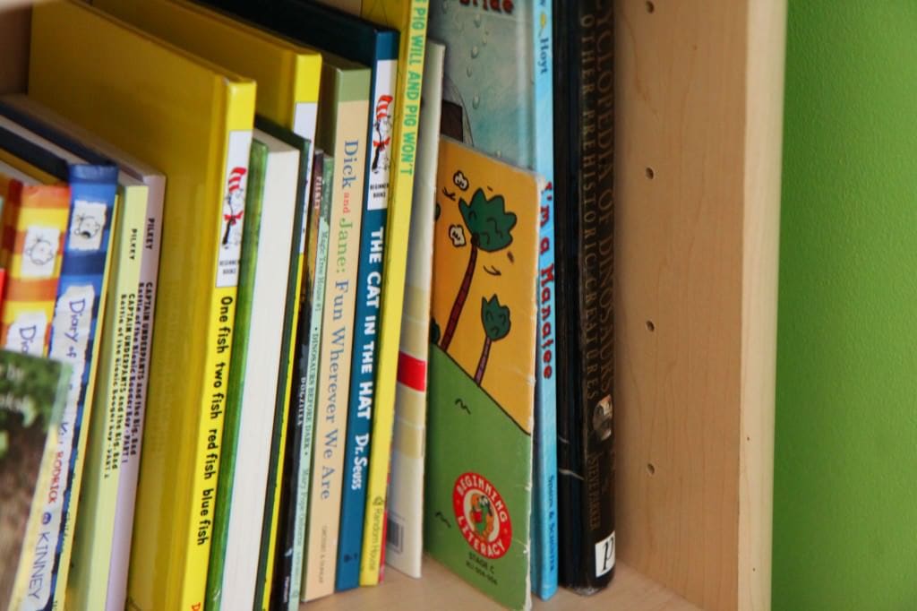 bookcase 2