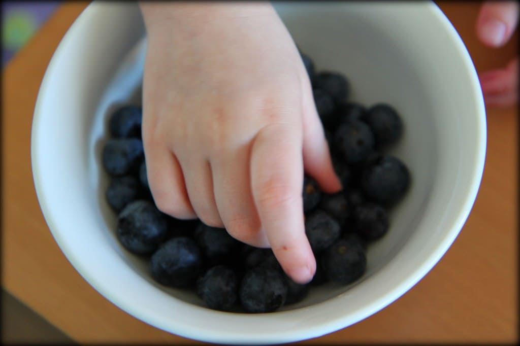 blueberry 5