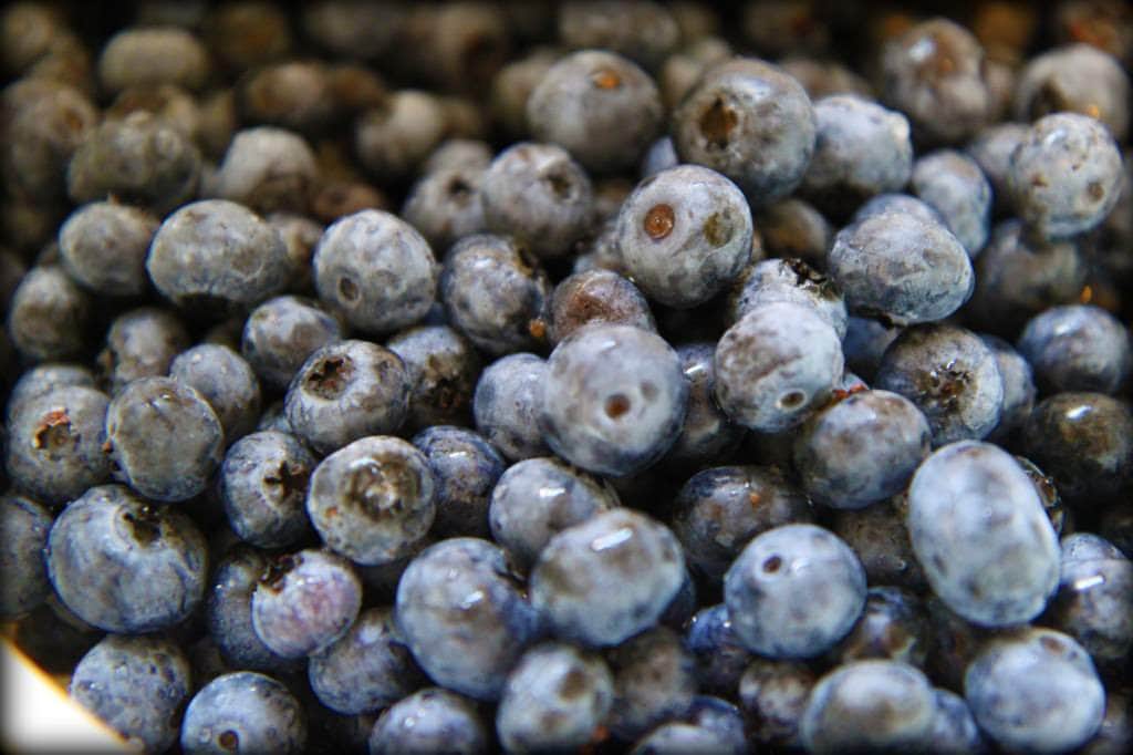 freeze berries 1