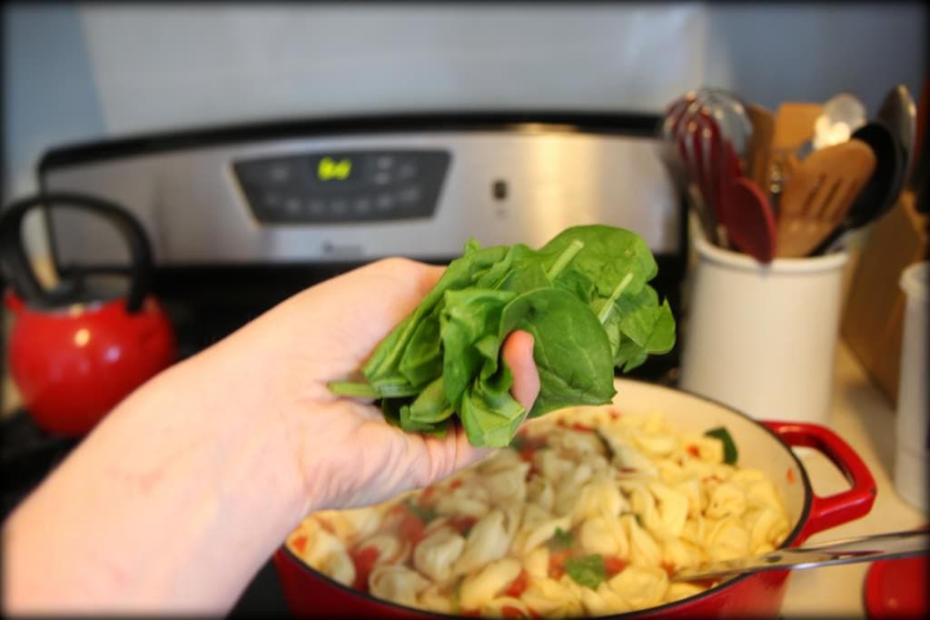 pesto chicken tortellini soup 2