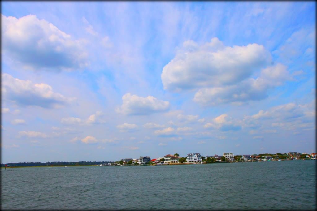 wilmington 15