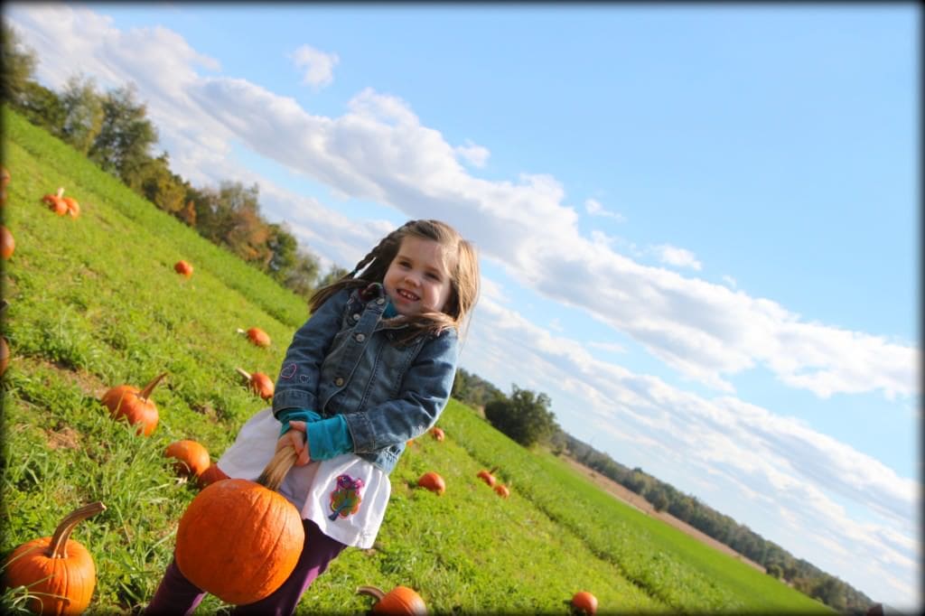 Pumpkin Patch 12