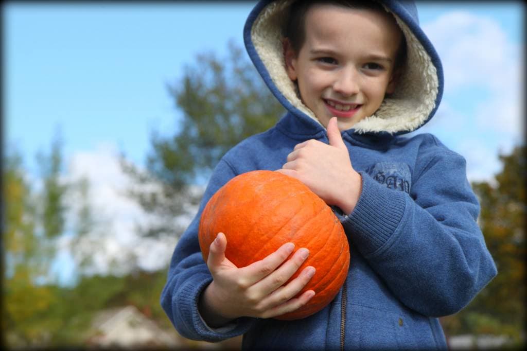 Pumpkin Patch 13