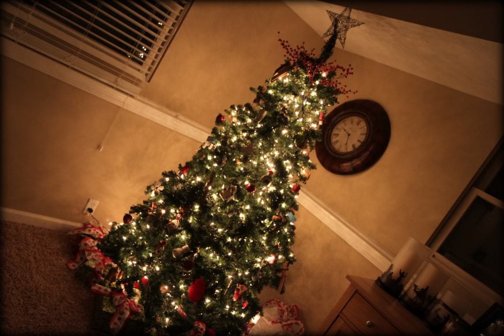 Christmas Tree