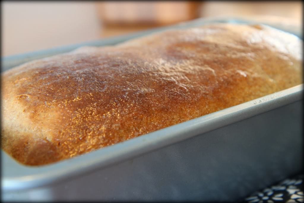 bread 1