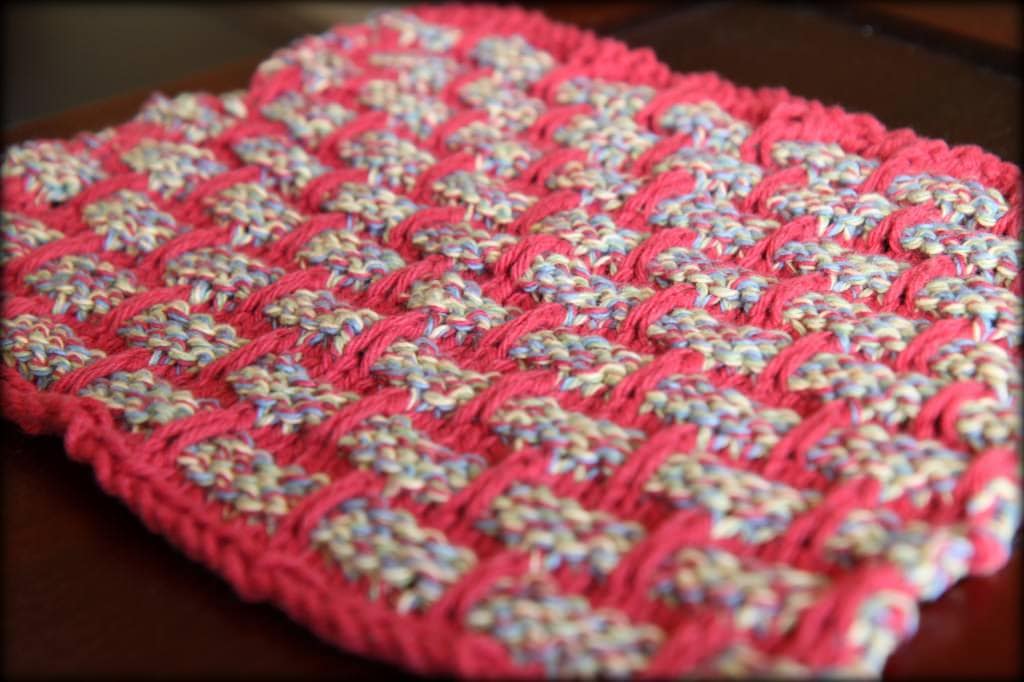 dishcloths 5