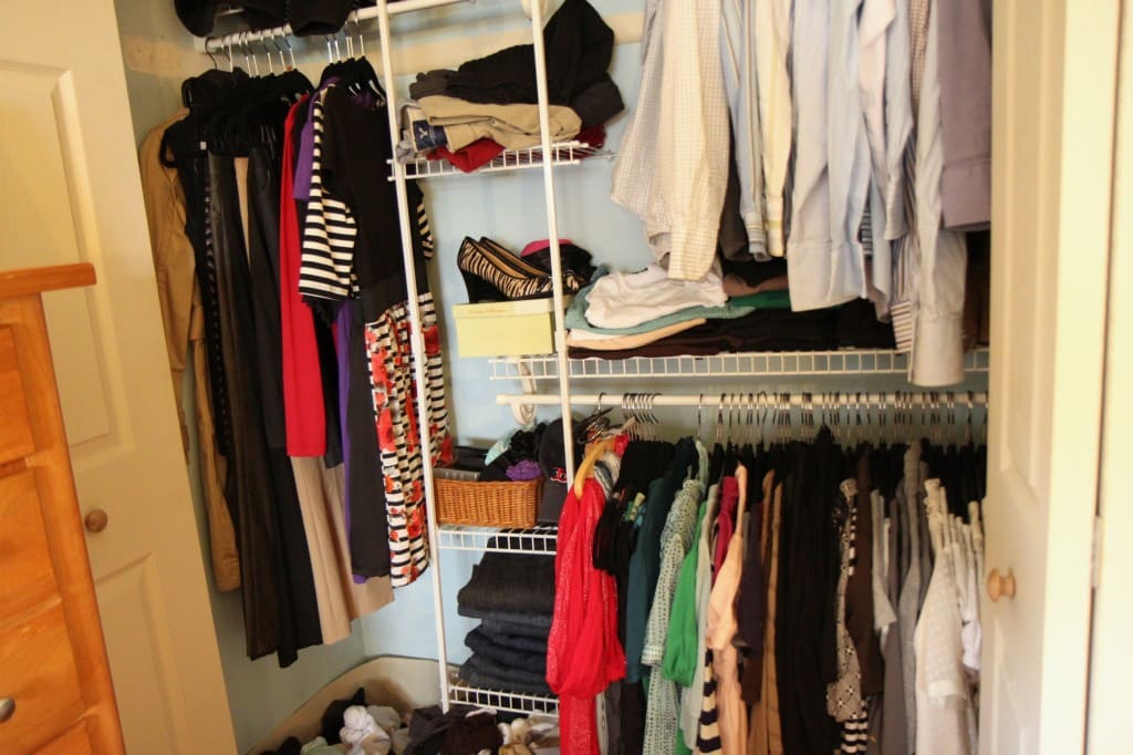 organization 5