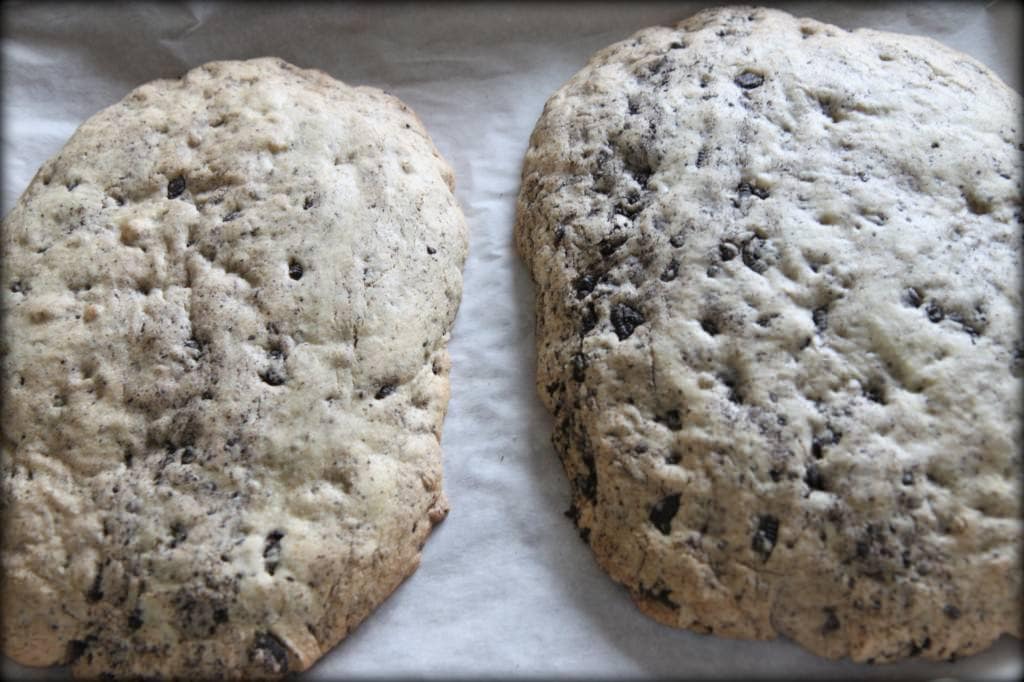oreo biscotti 12