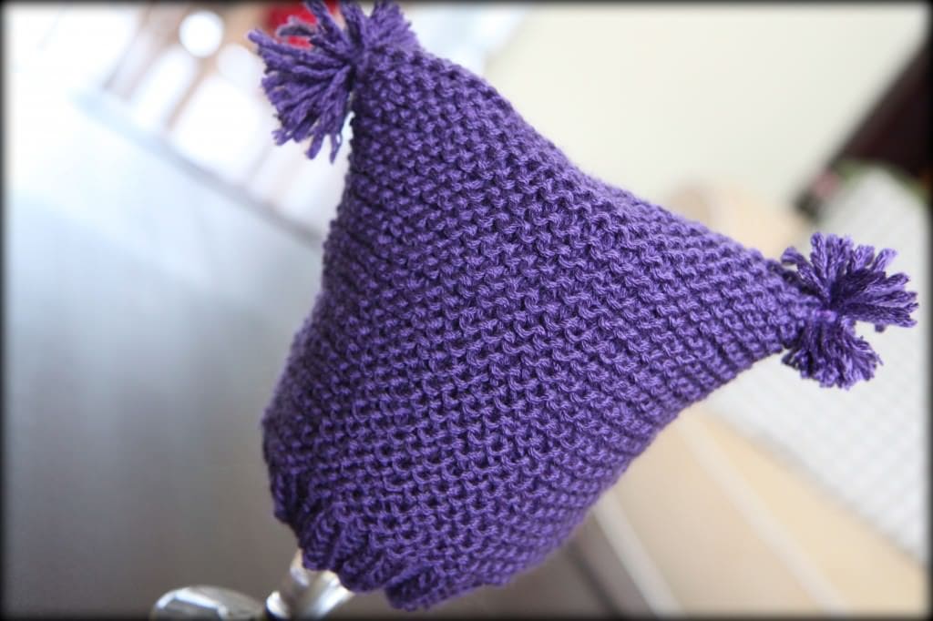 pom pom 1