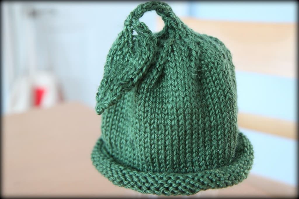 sprout 1
