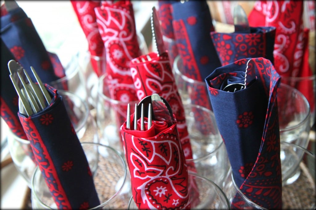 patriotic_party_1