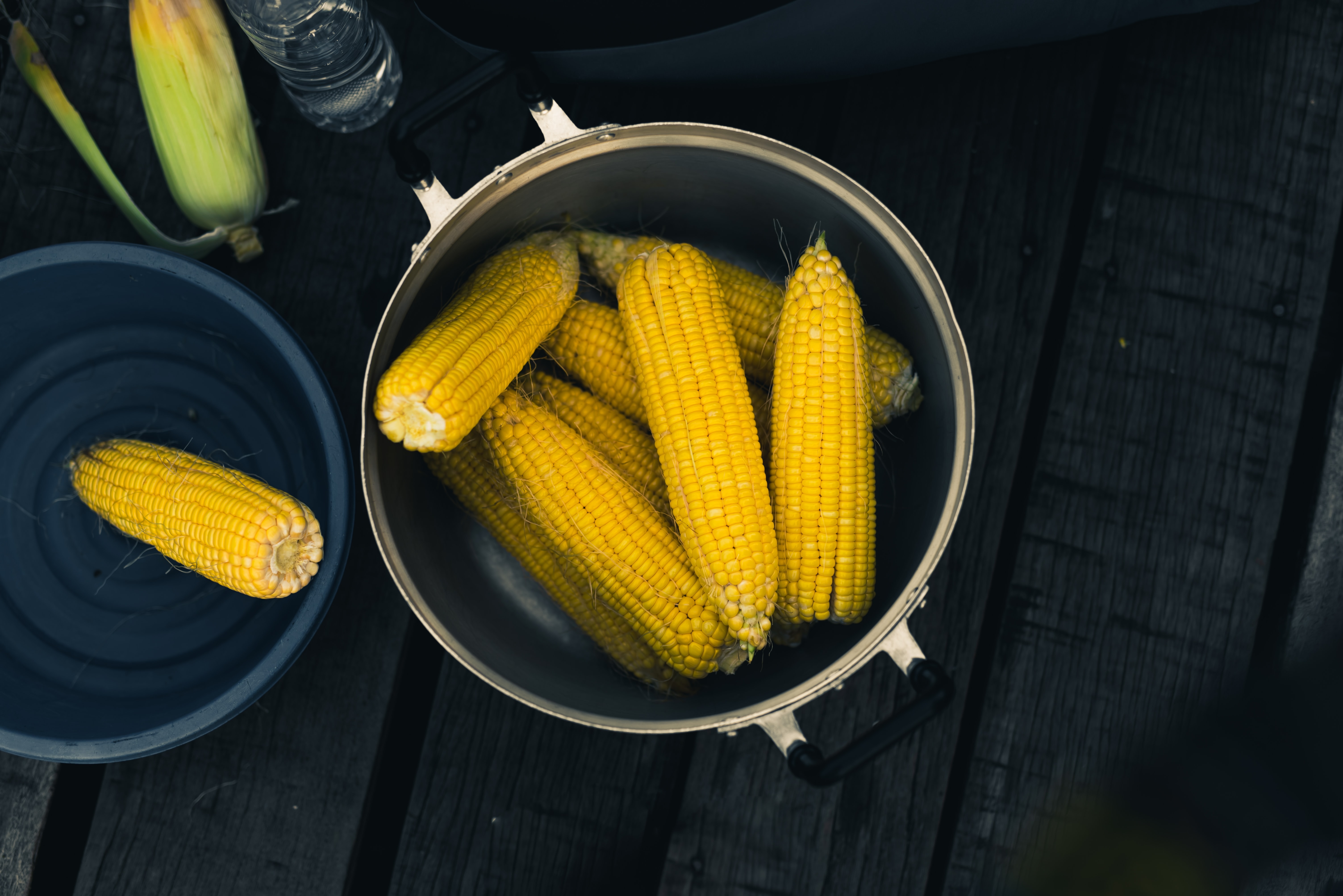 The Best Way to Cook Corn on the Cob - MomAdvice