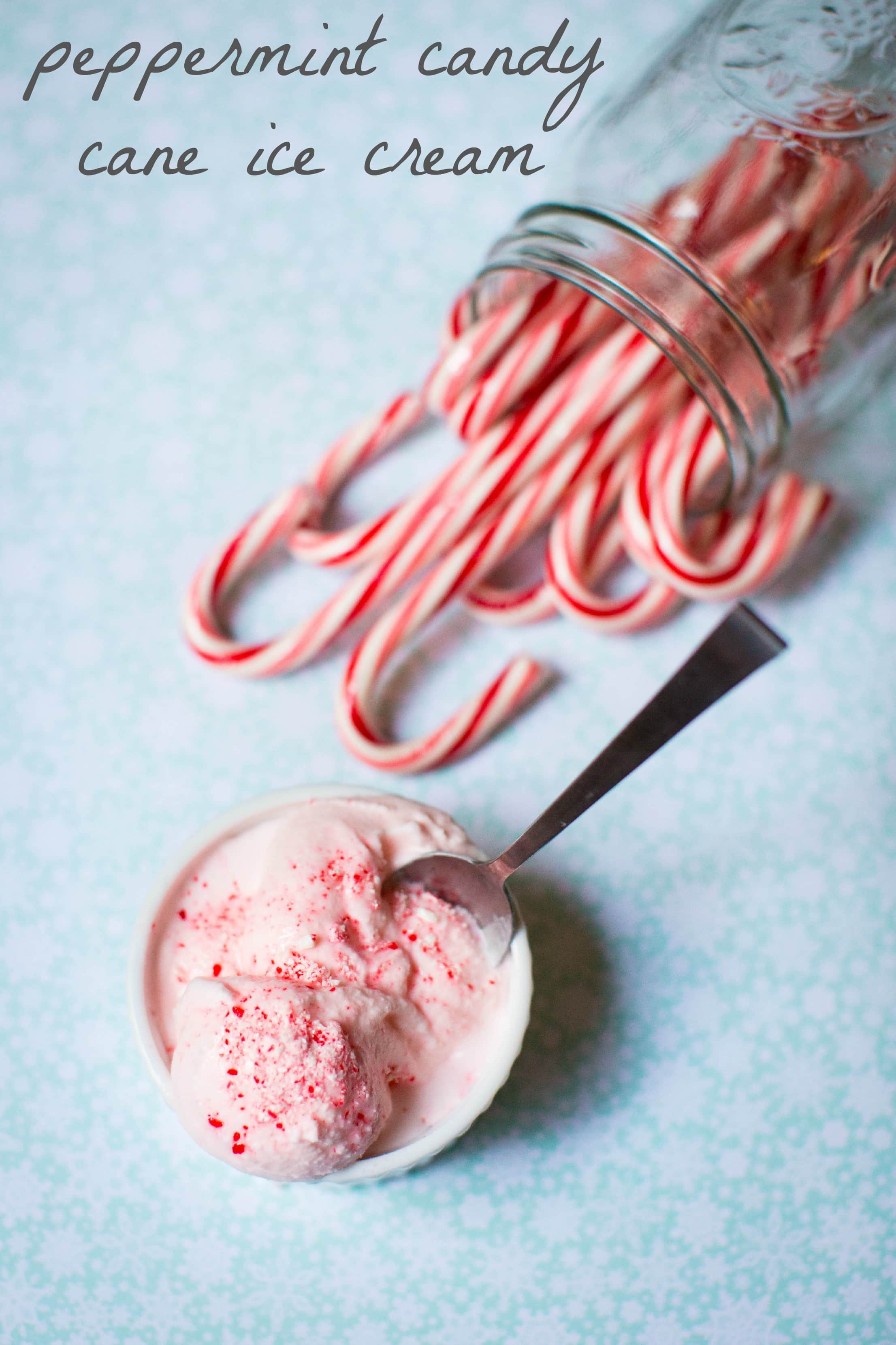 Guest Post: Peppermint Candy Cane Ice Cream