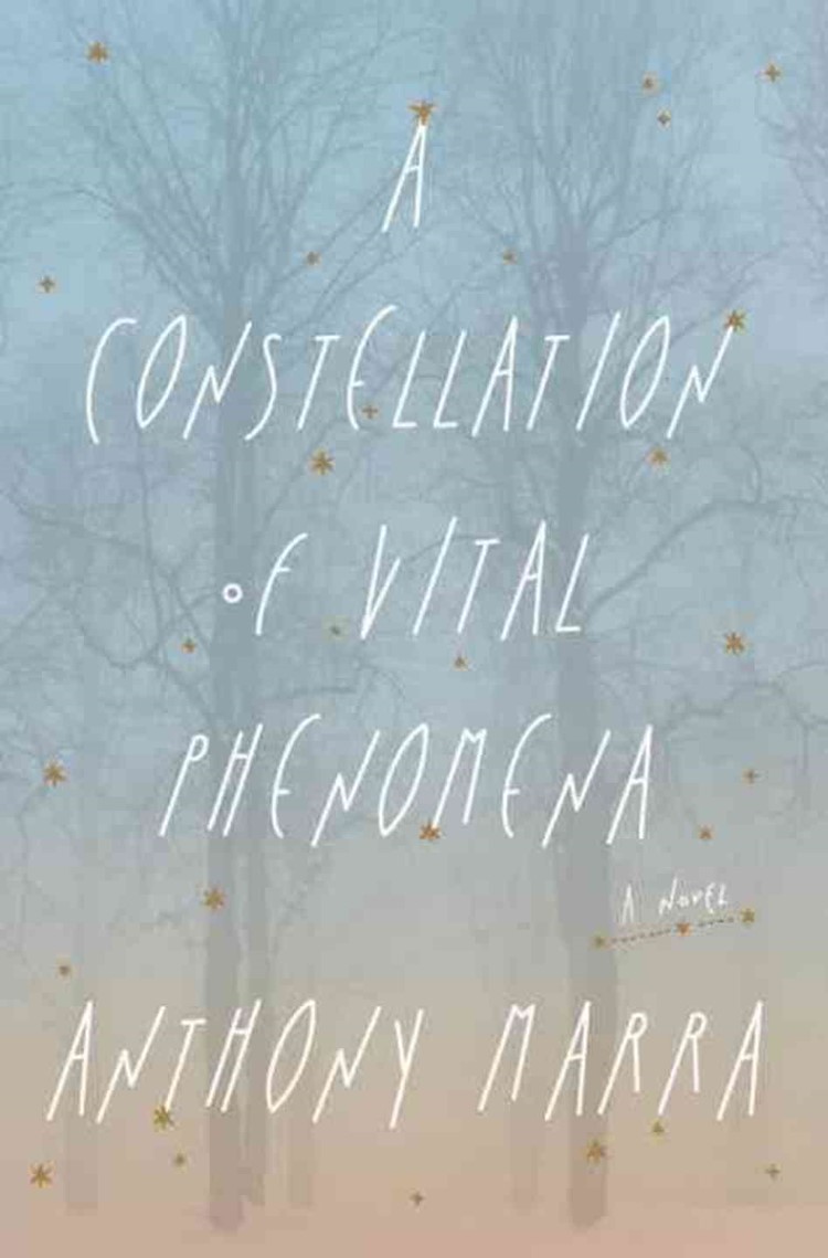 A Constellation of Vital Phenomena by Anthony Marra