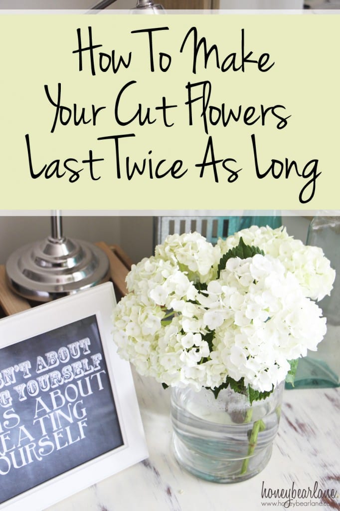 make your cut flowers last longer