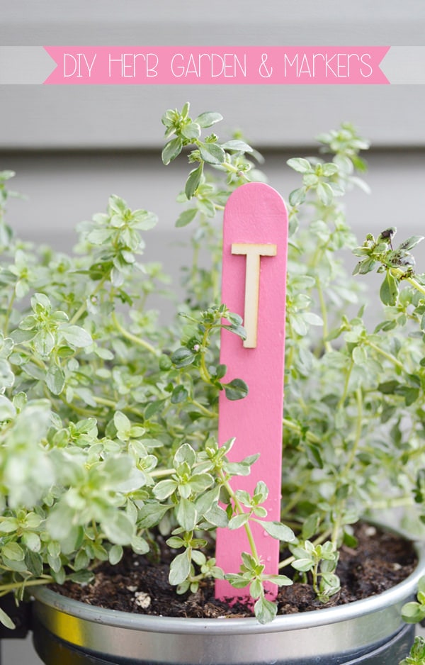 DIY Herb Garden and Garden Markers