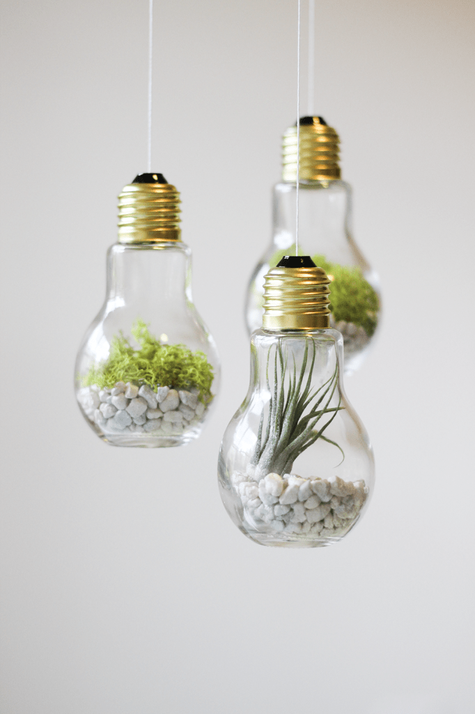 DIY Lightbulb Terrariums via CladandCloth