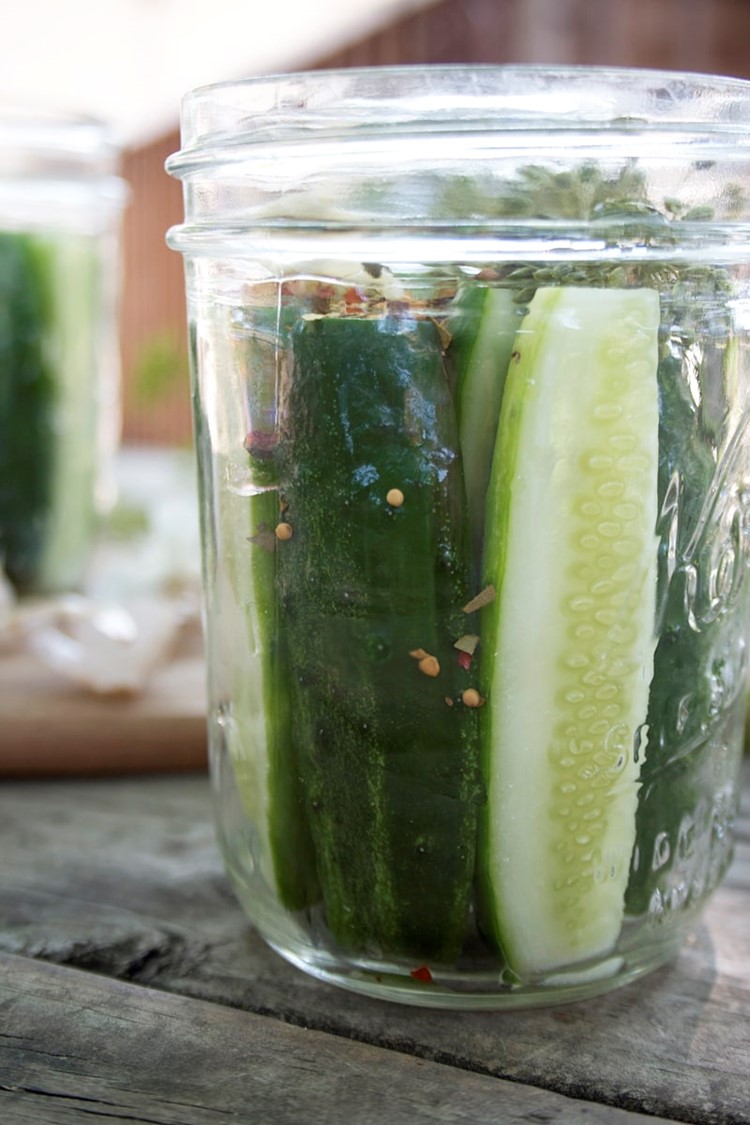 Refrigerator Pickles - Canning Made Easy | momadvice.com