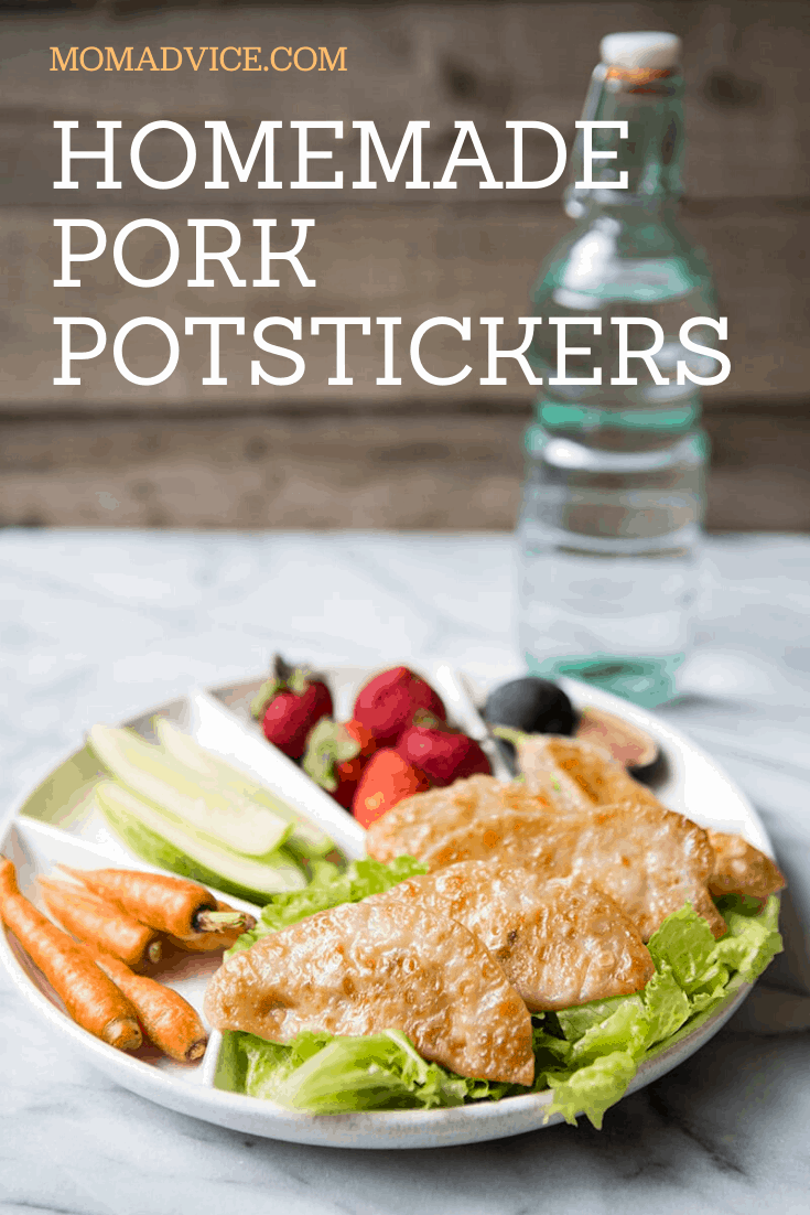 Homemade Pork Potstickers MomAdvice.com