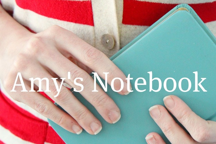 amys_notebook