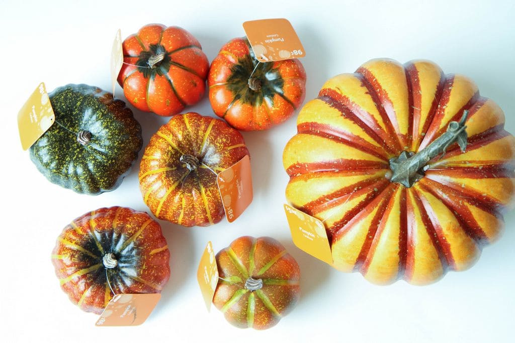 Painting Pumpkins With Acrylic Paints with MomAdvice.com