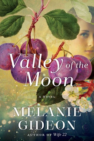 Valley of the moon by Melanie Gideon