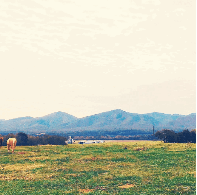 Riverhill Farms in Virginia