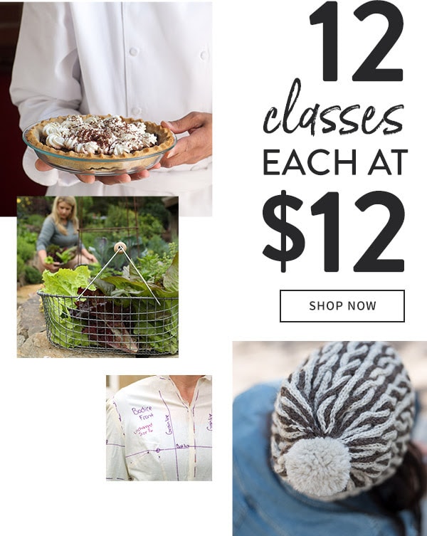 Craftsy Classes