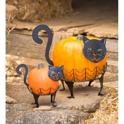 cat pumpkin holders