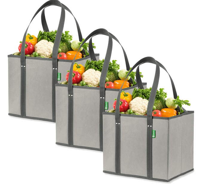 Collapsible Reusable Bags for ALDI